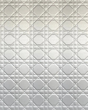 Silver dior plus fabric wall panel