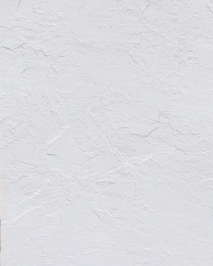 Off-white slate stone wall panel